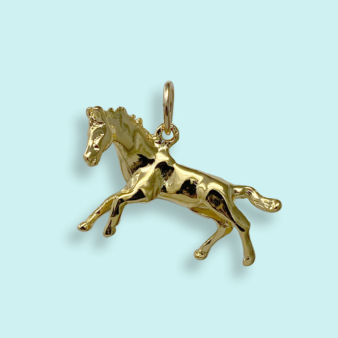 Wild Horses Charm